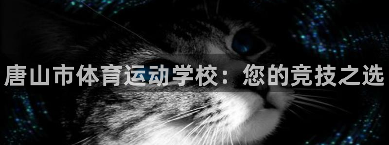 关键词