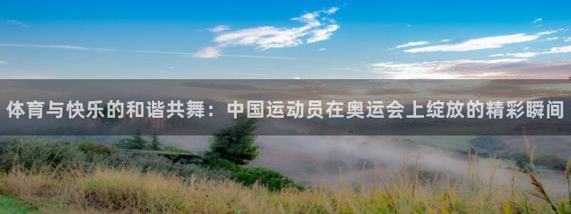 v66体育平台