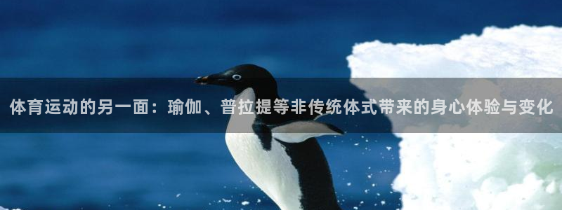 v66体育