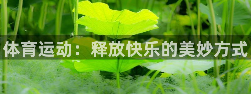 z66体育app下载：体育运动：释放快乐的美妙方式